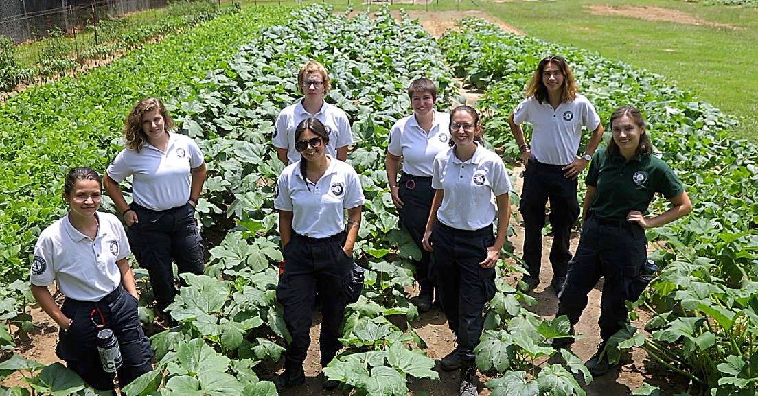 Eight AmeriCorps Members stand among a row of planted vegetables.