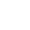 Map Icon